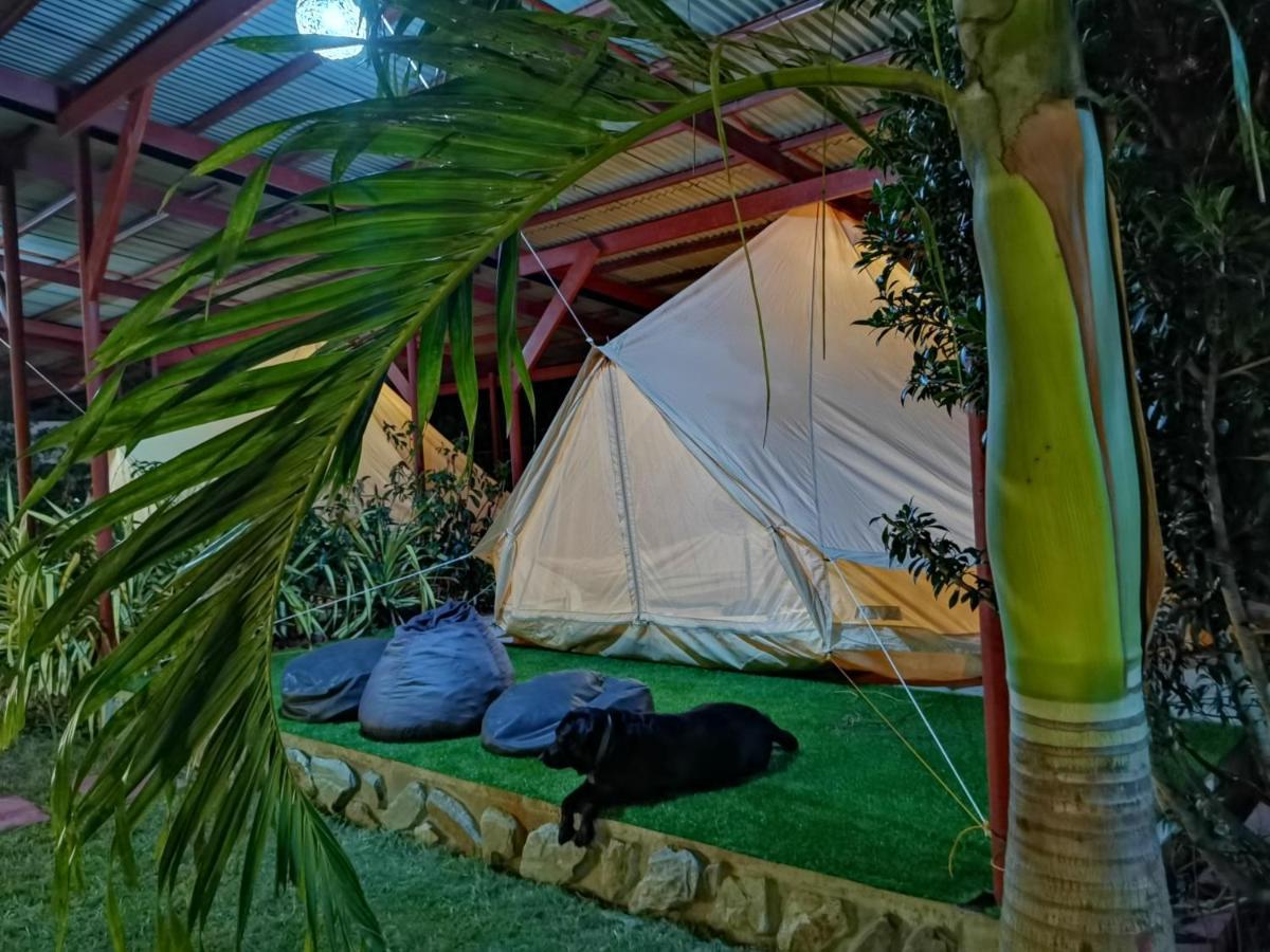 Glamping Alona Apartamento Panglao City Exterior foto